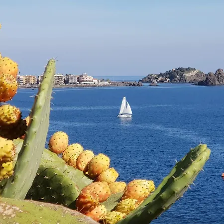 Grafea Apartment&rooms Διαμέρισμα