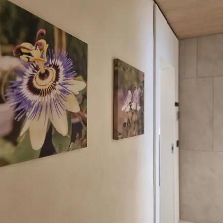 Grafea Apartment&rooms * Κατάνια