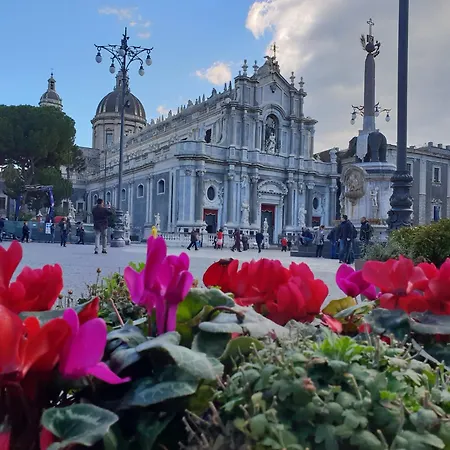 Grafea Apartment&rooms