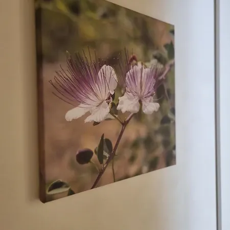 Appartement Grafea Apartment&rooms Catánia